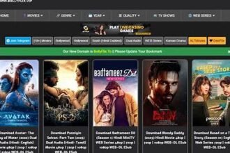 Bollyflix Maza in 2026